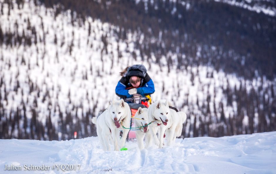 16797786_10155063591974490_8453125265362310261_o