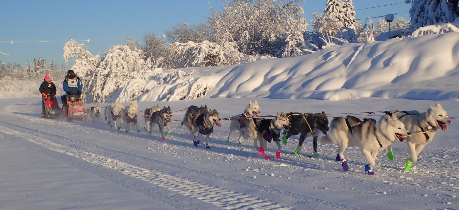 27625508_1341504295954652_3652923192089917797_o